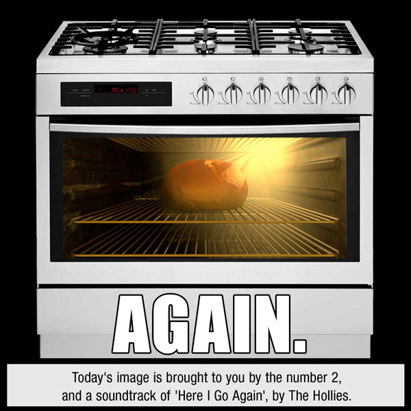 bun-in-the-oven-600px