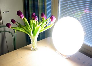 Light therapy lamp